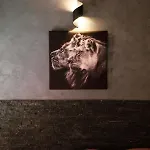 Lion Luxury