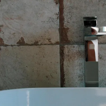 Lion Luxury Maison d'hôtes 4*