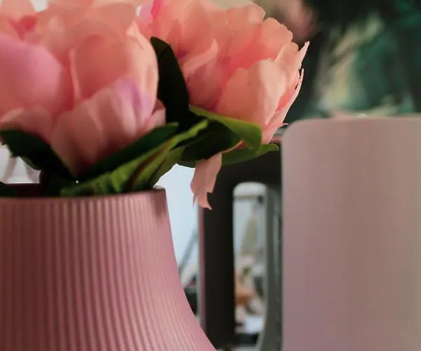 Lion Luxury Gasthuis 4*