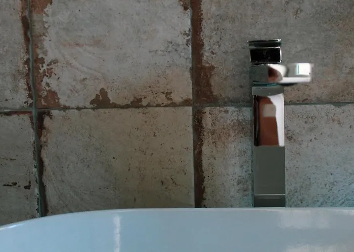 Lion Luxury Gasthuis 4*