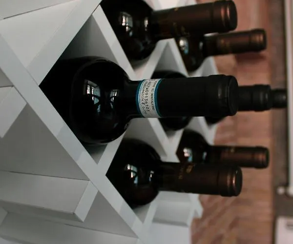 Lion Luxury Gasthuis